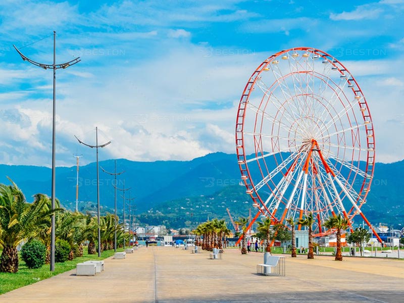 carnival Ferris wheel for sale